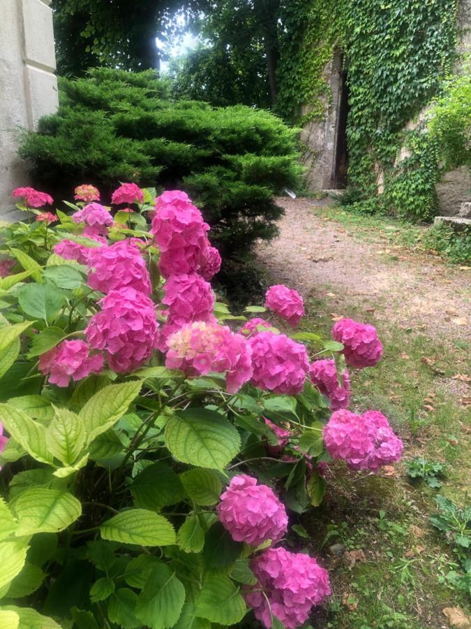 Saint-Gerand-le-PuyDemeure Des Payratons住宿加早餐旅馆 外观 照片